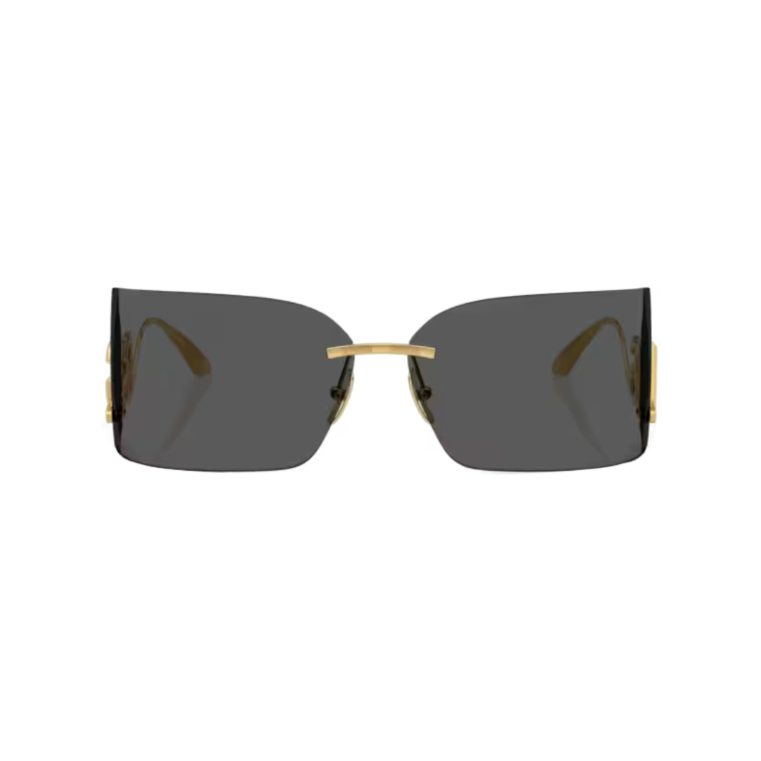 DOLCE&GABBANA SUNGLASSES DG2319