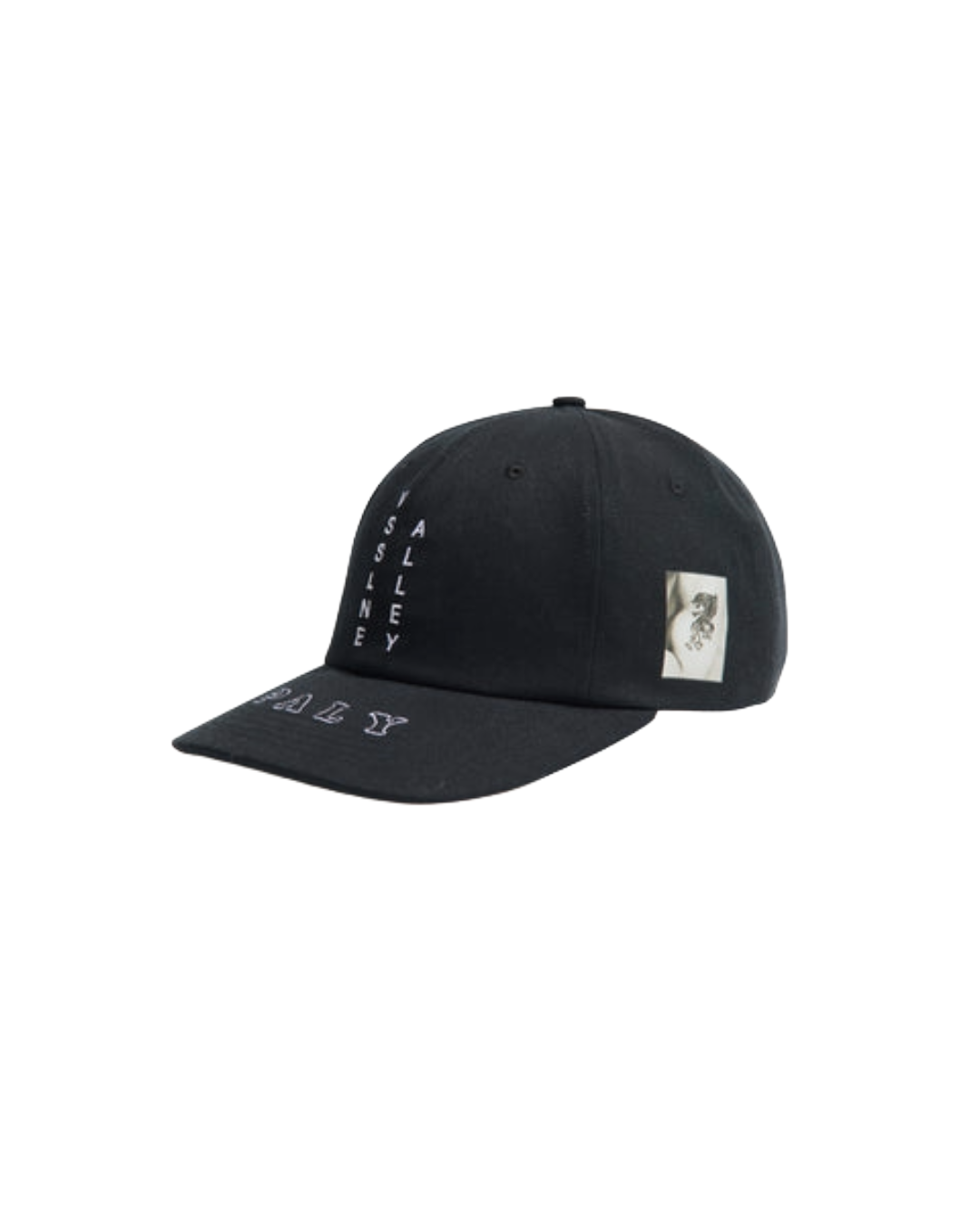 VSSLINE ALLEY LOW PROFILE HAT