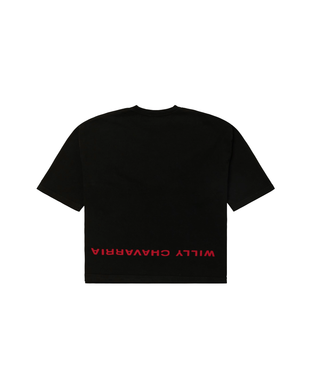 WELCOME TO AMERICA BUFFALO TEE