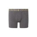 GRECA BORDER LONG TRUNKS