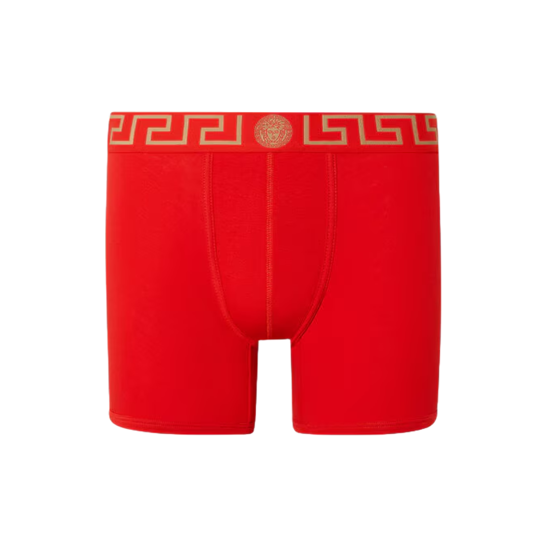 GRECA BORDER LONG TRUNKS