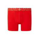 GRECA BORDER LONG TRUNKS