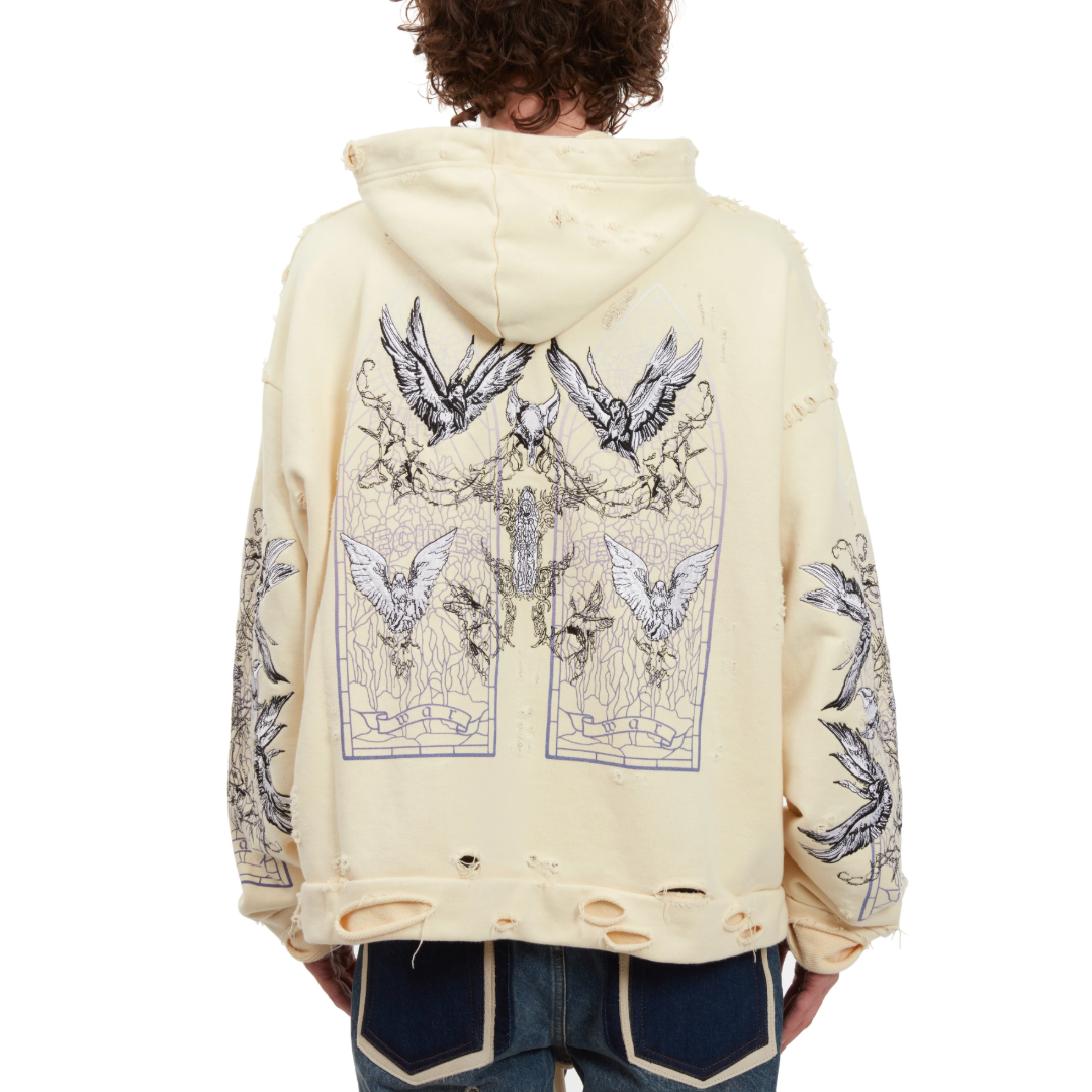 ASCENSION HOODED PULLOVER
