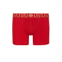 VERSACE GRECA BORDER TRUNKS