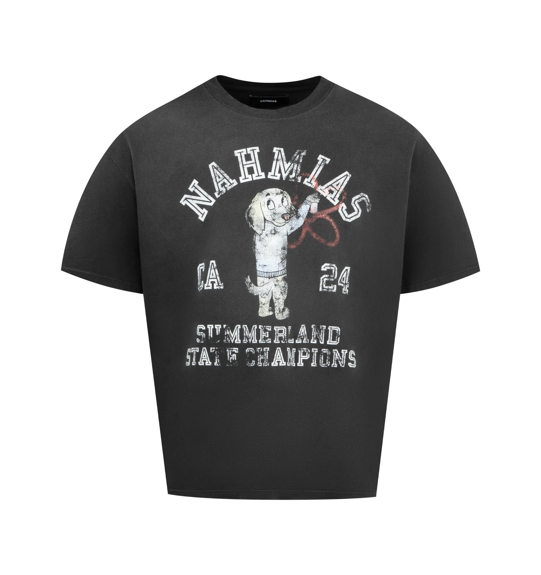 STATE CHAMPIONS BOXY T-SHIRT