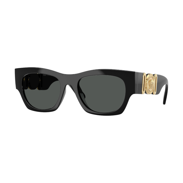 VE4479U VERSACE MENS SUNGLASSES