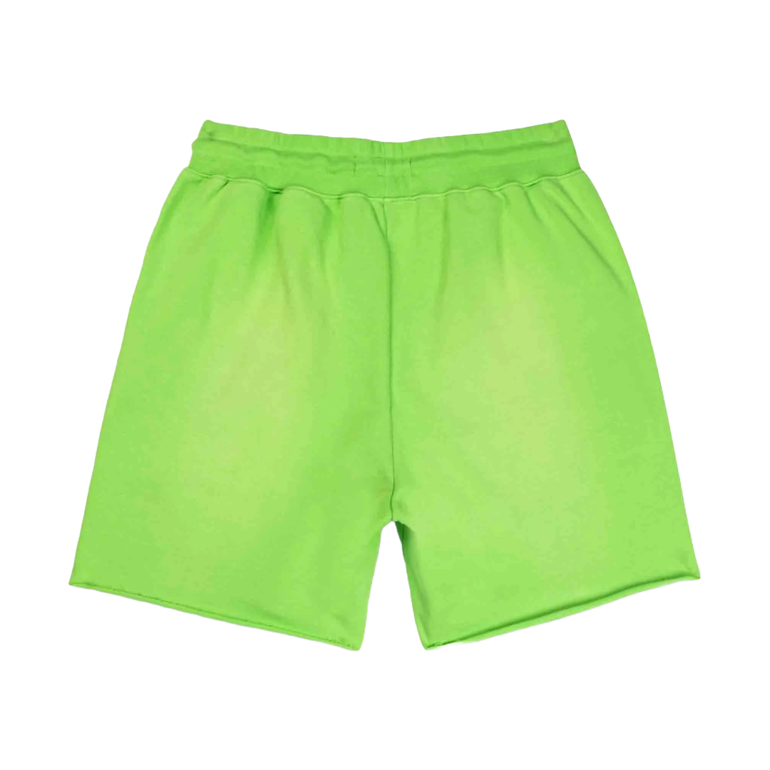 PURPLE BRAND GLITCH SHORT GREEN