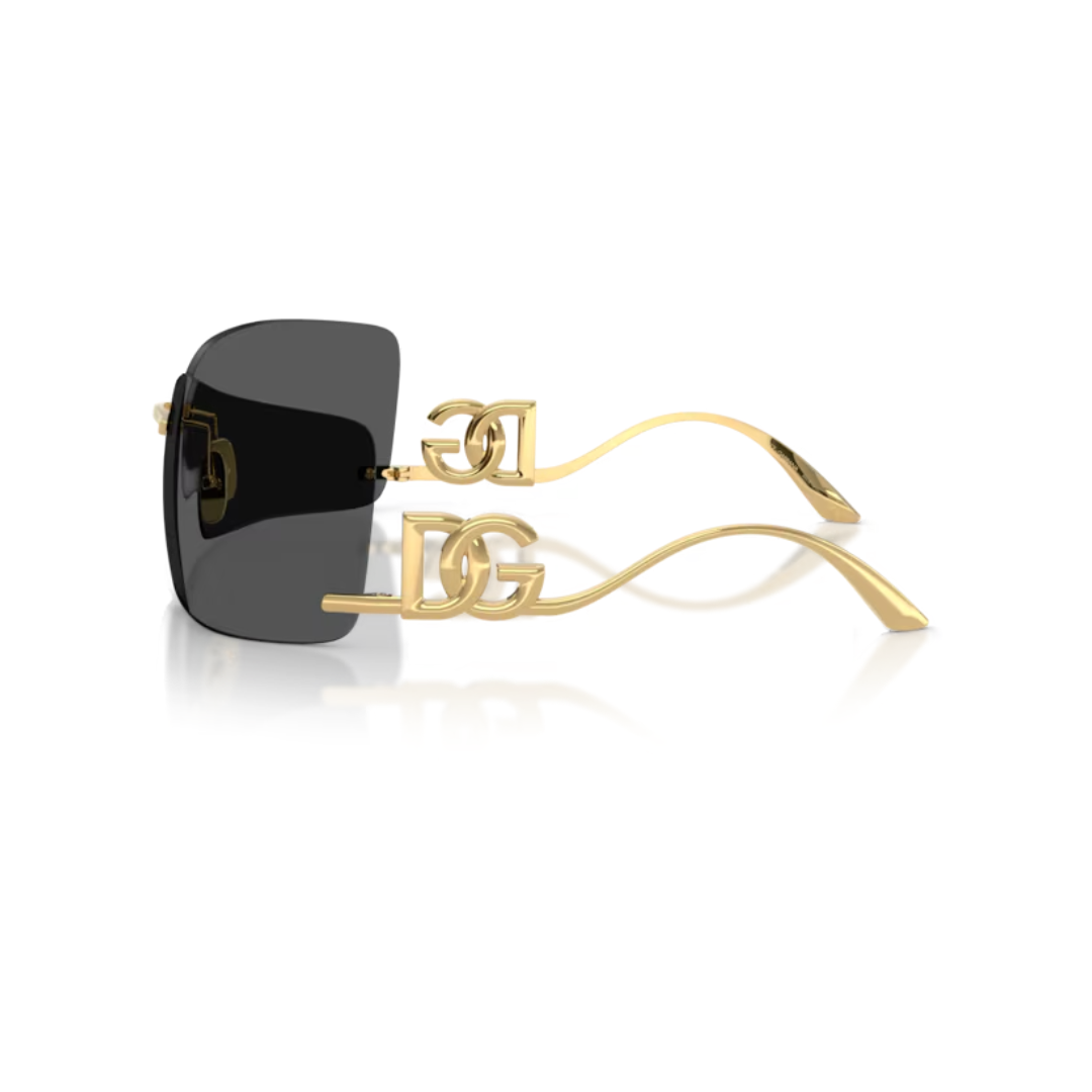 DOLCE&GABBANA SUNGLASSES DG2319