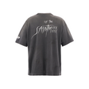 HARRY POTTER T-SHIRT GRAY