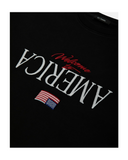 WELCOME TO AMERICA BUFFALO TEE