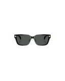4513D SUNGLASSES