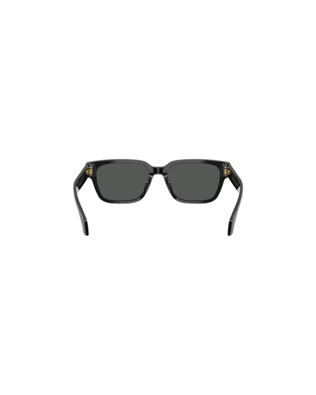 4513D SUNGLASSES
