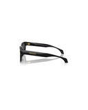 4513D SUNGLASSES