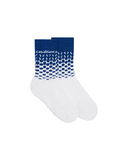 BEYOND DESTINY GRADIENT SOCKS