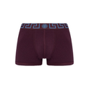 GRECA BORDER LOW RISE TRUNKS