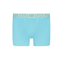 VERSACE GRECA BORDER TRUNKS