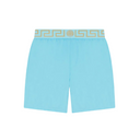 VERSACE MID-LENGTH GRECA BORDER SWIM SHORTS SPLASH-ORO