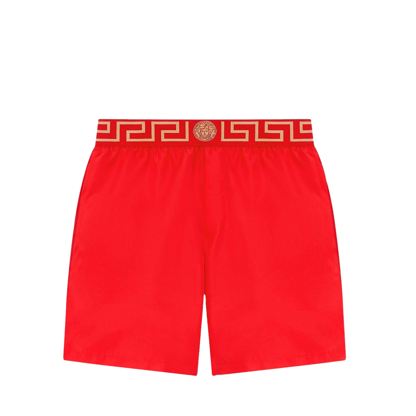 GRECA BORDER BOARDSHORTS